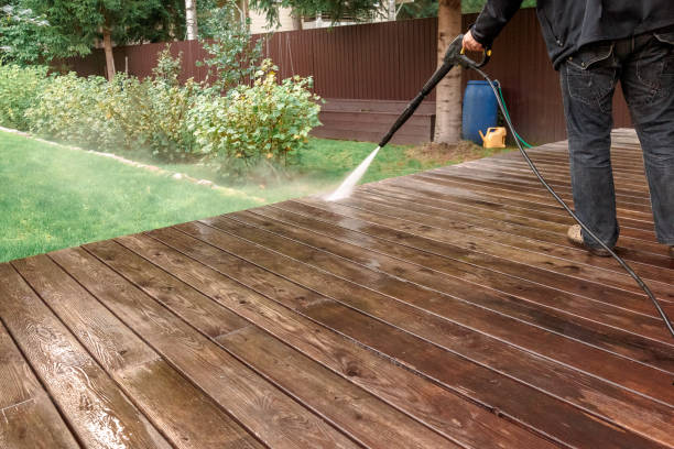Animal Enclosure Cleaning in Fountainebleau, FL