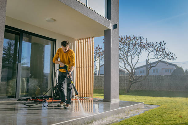 Best Solar Panel Cleaning  in Fountainebleau, FL
